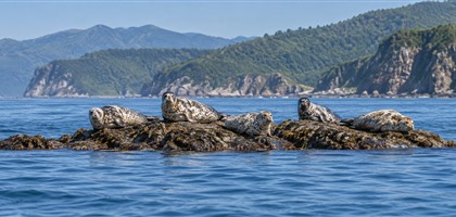 wildlife-list-420x200.jpg