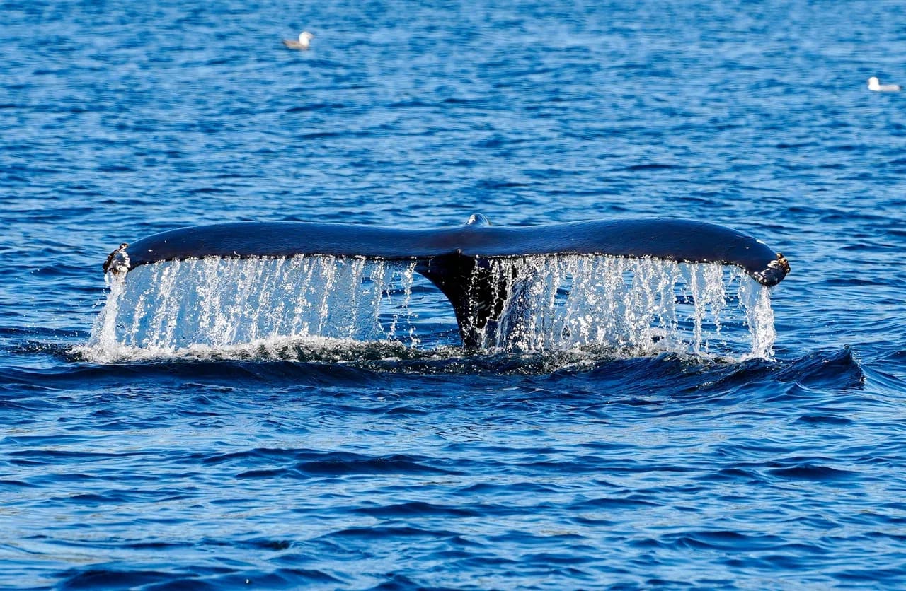 Териберка 3.jpg