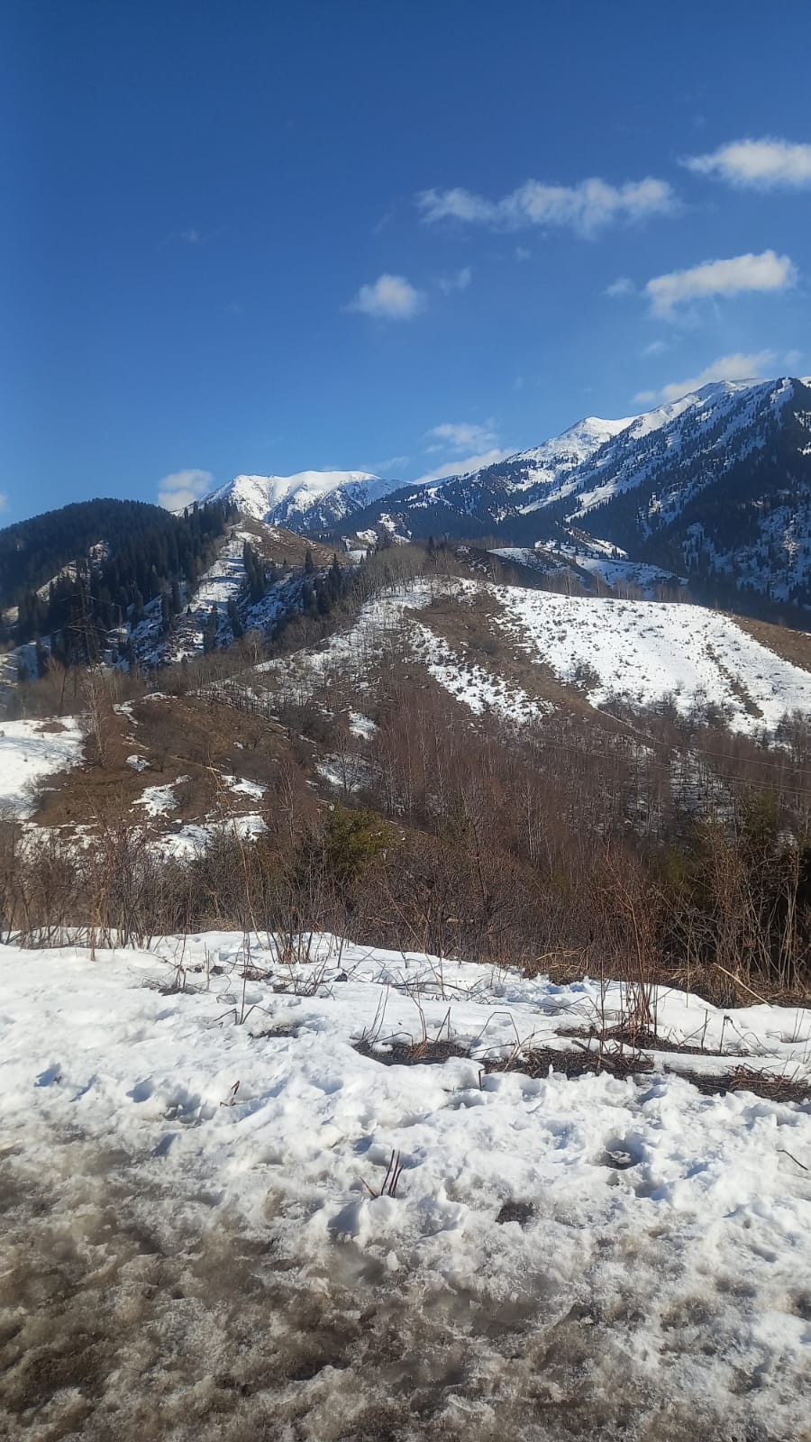 WhatsApp Image 2026-02-06 at 13.01.37.jpg