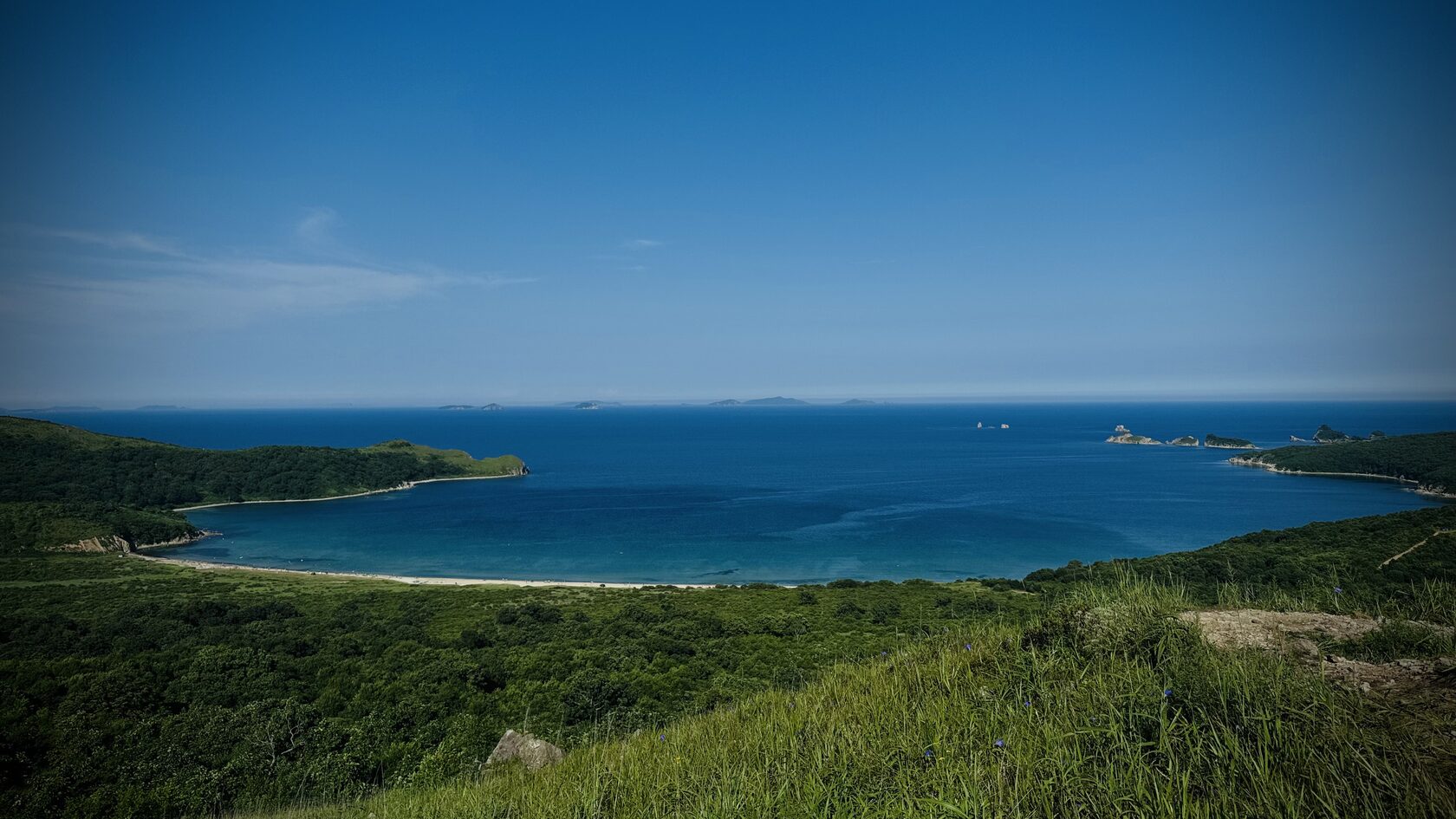 IMG_4773.jpeg
